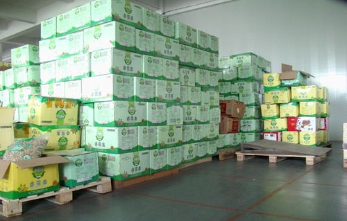 廣州食品倉庫托管服務(wù) 龍森倉儲的專業(yè)解決方案